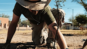 Arizona Department of Forestry and Fire Management grant promotes green spaces – dailydispatch.com