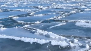 Pancake ice has formed on Lake Michigan; Chicago firefighters say it poses a hidden danger