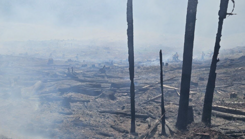 OR-KentCreek-Fire.png