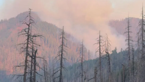 OR-Deep-Creek-Fire.png